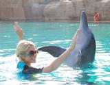 Paris Hilton Pictures